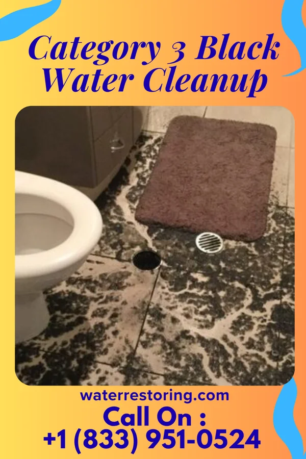 Category 3 Black Water Cleanup in Panama, NE